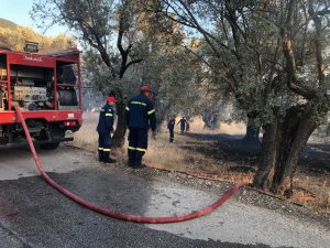 Φωτογραφία: ΤΑ ΝΕΑ ΤΗΣ ΛΕΣΒΟΥ