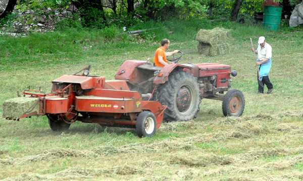 Οικονομία: Σημαντικός ο ρόλος που μπορεί να παίξει ο αγροτοδιατροφικός τομέας