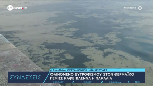 Γέμισε καφέ βλέννα ο Θερμαϊκός: Τι είναι το φαινόμενο ευτροφισμού
