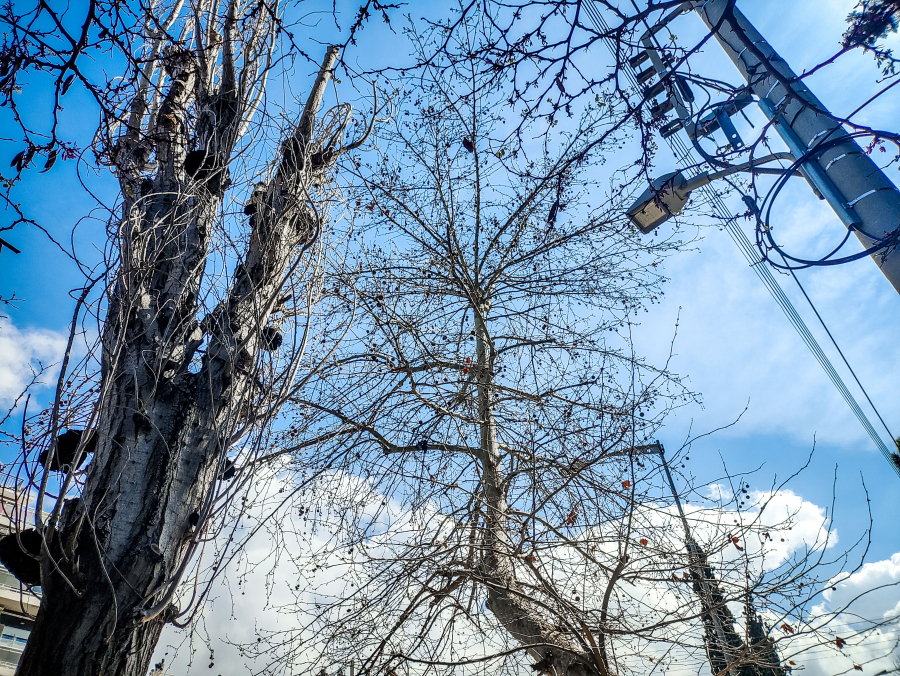 «Χαρά θεού» ο καιρός μέχρι την Πέμπτη - Τι λένε Κολυδάς, Τσατραφύλλιας και Καλλιάνος
