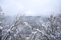 Πότε ξεκινούν τα χιόνια; Έρχεται απότομη πτώση της θερμοκρασίας
