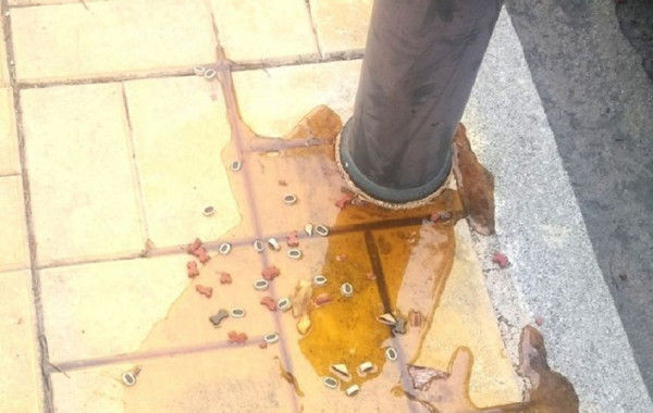 Άργος: Άγνωστοι έριξαν φόλες με γυαλιά και μέλι (pics)