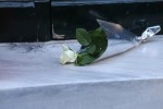 photo: αρχείο dikaiologitika news