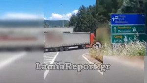 Lamiareport