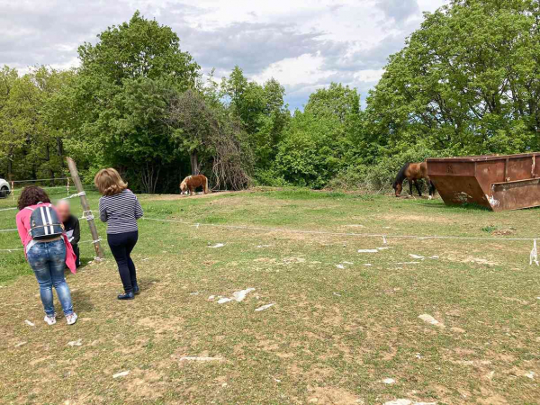 Άλογο δάγκωσε στον λαιμό 5χρονο αγοράκι στην Καβάλα