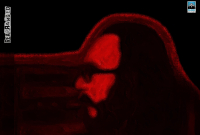 «Το Ροκ Του Μέλλοντός Μας»: Ένα άλμπουμ – φόρος τιμής στον Διονύση Σαββόπουλο