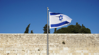Embassy of Israel to Dnews: Pninat Yanai Does Not Know Tal Dilian