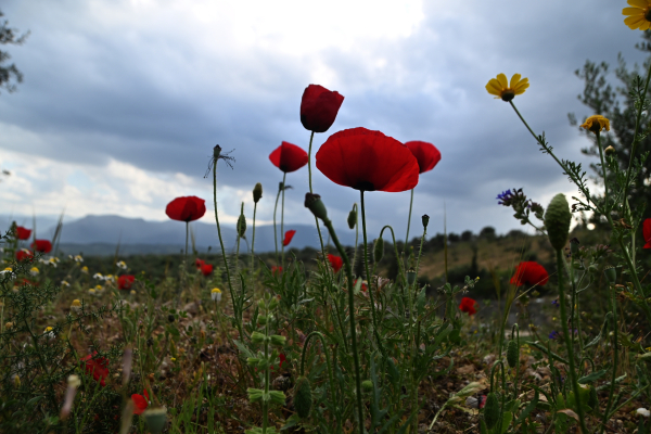 Κλέαρχος Μαρουσάκης: Σύντομη φθινοπωρινή παρένθεση - O καιρός την Πρωτομαγιά