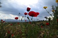 Κλέαρχος Μαρουσάκης: Σύντομη φθινοπωρινή παρένθεση - O καιρός την Πρωτομαγιά