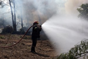 Έρχεται πρόγραμμα κοινωφελούς εργασίας με 5.066 θέσεις για προστασία των δασών