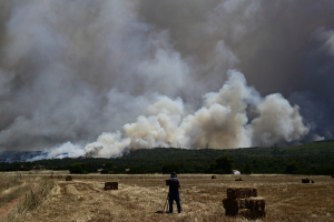 Πύρινη κόλαση στα Δερβενοχώρια, στις αυλές σπιτιών η φωτιά στη Νέα Ζωή - Εικόνες αποκάλυψης