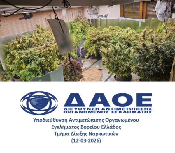 Θεσσαλονίκη: «Ξηλώθηκε» φυτεία κάνναβης με 50 δενδρύλλια - 2 συλλήψεις