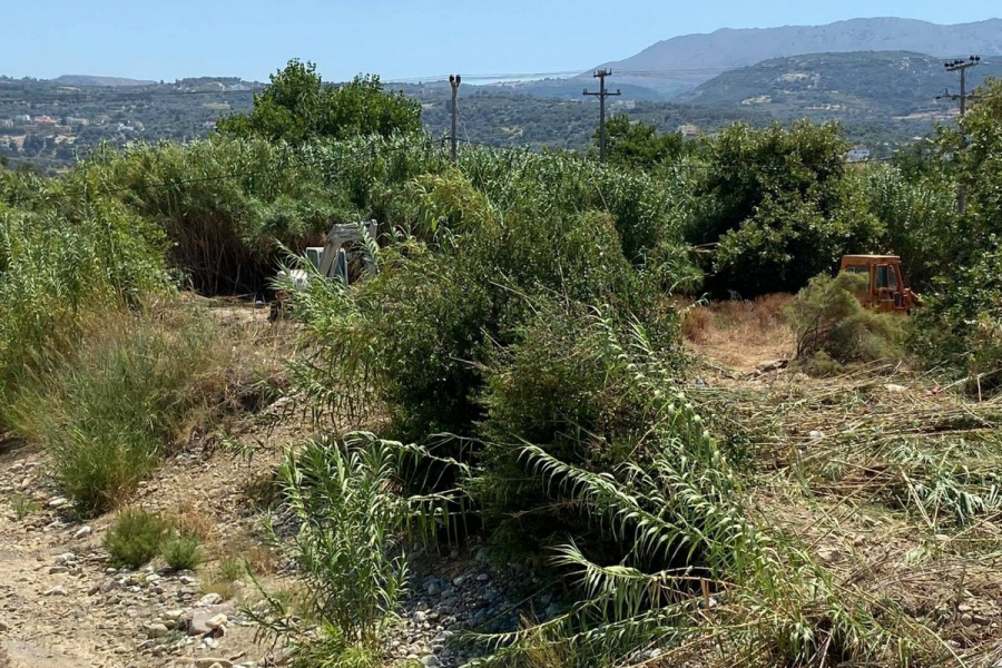 Θρίλερ στο Ρέθυμνο με το πτώμα σε βαρέλι, σοκάρει η περιγραφή αυτόπτη μάρτυρα (εικόνα)