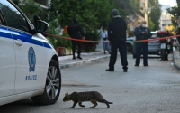 Υπό την επήρεια μέθης ο 53χρονος που πυροβόλησε σε καφετέρια στο Λαύριο