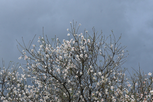 Πότε έρχεται η νέα κακοκαιρία: Πόσες μέρες θα κρατήσει