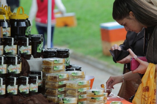 Ενισχύεται η μελισσοκομία στην Ευρώπη. Οι ευρωβουλευτές ζητούν 50% αύξηση των κονδυλίων