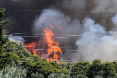 Πύρινος εφιάλτης και στην Πάτρα, η φωτιά έφτασε στον Δήμο Ερυμάνθου - Εκκενώθηκαν οικισμοί με μήνυμα από το 112