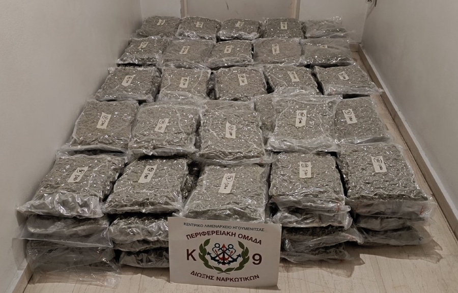 Ηγουμενίτσα: Ο Βλαντ βρήκε 111 κιλά ακατέργαστης κάνναβης, κρυμμένη σε φορτηγό (Εικόνες και βίντεο)