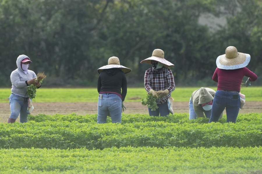 Ποια τρόφιμα κινδυνεύουν από την αύξηση της θερμοκρασίας