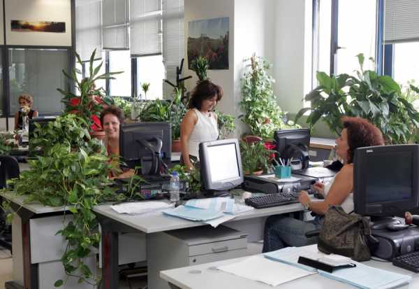 Όλη η εγκύκλιος για την αξιολόγηση των δημοσίων υπαλλήλων