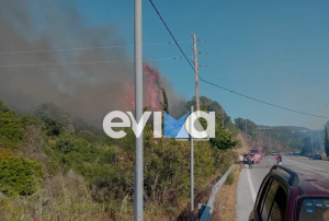 Φωτιά τώρα στον Αλμυροπόταμο Εύβοιας (εικόνες) - Ρίψεις από 3 εναέρια