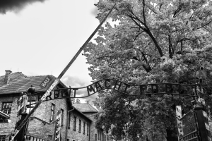 Άνοιξαν τα αρχεία των Ναζί: 16 εκατομμύρια φάκελοι αποκαλύπτουν τα κρυμμένα πρόσωπα του ναζισμού