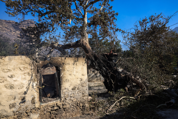 Φωτιά στην Ιεράπετρα: Άφησαν τον σκύλο δεμένο με αλυσίδα και βρήκε φριχτό θάνατο