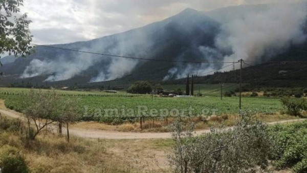 Υπό έλεγχο η φωτιά με τις πέντε εστίες στην Τιθορέα - Εμπρησμό καταγγέλλουν οι κάτοικοι