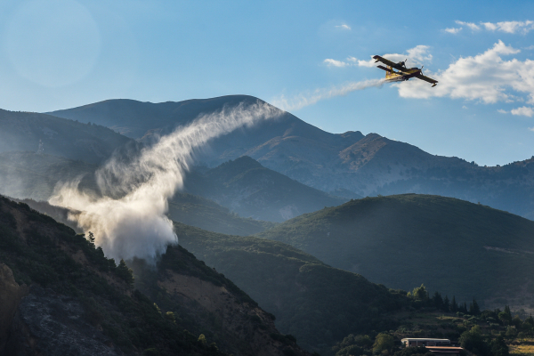 Τέθηκε υπό έλεγχο η φωτιά στο Ράγιο Θεσπρωτίας