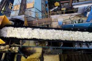 Καμπανάκι κινδύνου από τους εργαζόμενους στην Ελληνική βιομηχανία Ζάχαρης