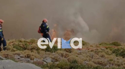 Εύβοια: Μαίνεται η μεγάλη φωτιά στην Κάρυστο, ενισχύθηκαν οι δυνάμεις