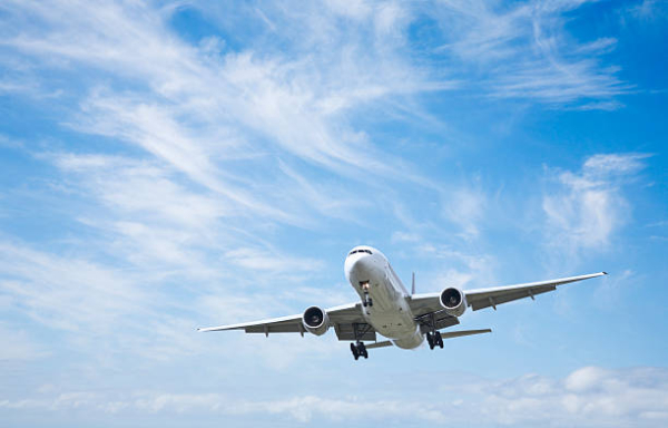 Χαμός με φίδι σε καμπίνα αεροπλάνου της πτήσης AirAsia Thailand