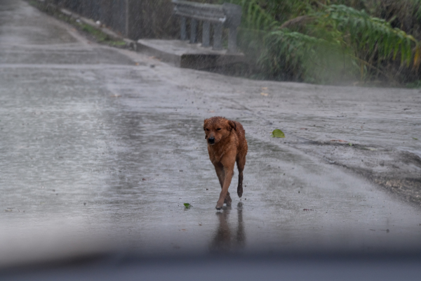 Νέο κύμα κακοκαιρίας προ των πυλών – Η προειδοποίηση Κολυδά για μεγάλα ύψη βροχής