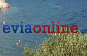 Εύβοια: Αστυνομικός έσωσε μητέρα και παιδί - Παρασύρθηκαν από τους ανέμους σε στρώμα θαλάσσης