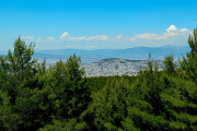 Όλα τα πιθανά σφάλματα στους δασικούς χάρτες θα διορθωθούν