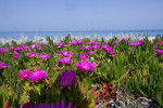 photo: Eurokinissi