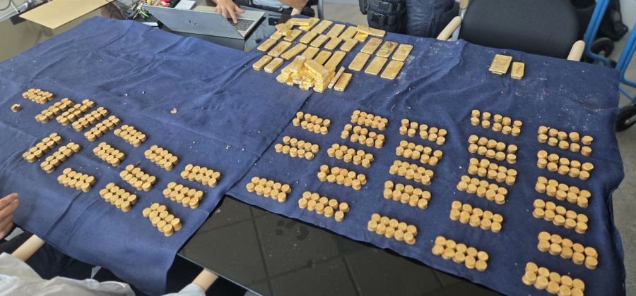 Βέλγιο: 18χρονος έσκαβε για αποχέτευση και «έπεσε» πάνω σε θησαυρό εκατομμυρίων