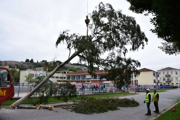 photo: Αρχείο dikaiologitika News