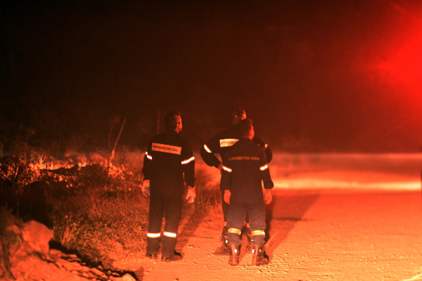 Φωτιά κοντά στο Νεοχώρι Πηλίου - 48 πυροσβέστες στην κατάσβεση