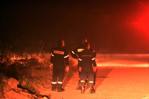 Φωτιά κοντά στο Νεοχώρι Πηλίου - 48 πυροσβέστες στην κατάσβεση