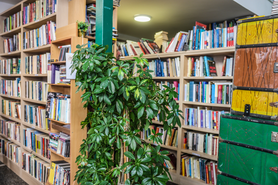 ΔΥΠΑ: Ξεκινούν οι αιτήσεις για τα vouchers βιβλίων