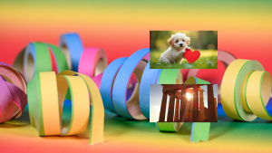 Σαββατοκύριακο χωρίς πορτοφόλι: Βαλεντίνος, μουσεία και καρναβάλια