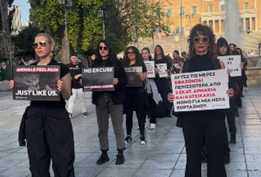Vegans έκαναν διαμαρτυρία στο Σύνταγμα - «Αυτό το Πάσχα γιόρτασε χωρίς θύματα» (Βίντεο)