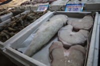 Μπακαλιάρος: Τι να προσέξετε πριν κάνετε τα ψώνια σας