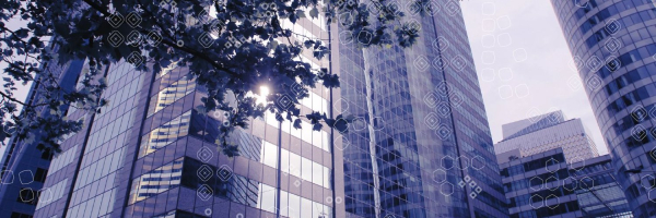 Το ακίνητο του Λαϊνόπουλου και η Alfa Wood