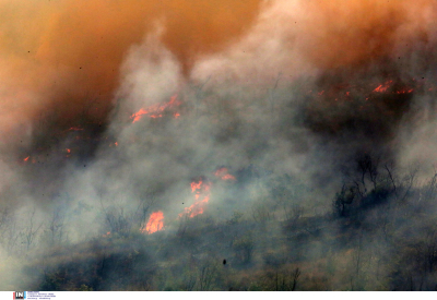 Καίγεται για δέκατη ημέρα ο Έβρος: «Το δάσος της Δαδιάς έχει χαθεί»