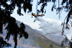 Φωτιά τώρα σε δασική έκταση στην Τανάγρα - Επιχειρούν και εναέρια μέσα