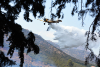 Φωτιά τώρα σε δασική έκταση στην Τανάγρα - Επιχειρούν και εναέρια μέσα