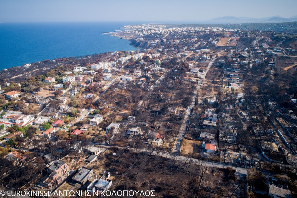 Μπουρνούς: Σε 45 μέρες θα έχουν απομακρυνθεί τα καμένα δέντρα από την περσινή φωτιά στη Ραφήνα
