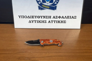 Εξιχνιάστηκε η βίαιη επίθεση σε βάρος δύο εθελοντών στη Φυλής - 5 συλλήψεις